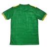 Camiseta de fútbol México Special 2024-25 Verde